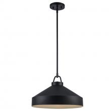 Trans Globe PND-2243 BK - 1LT PENDANT-16" BUCKET-BK